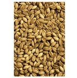 Jau-Barley