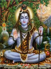 Bhagawan Shiv in forest-featured