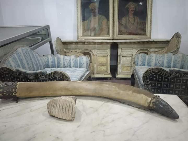 Vintage Furniture and Elephant Tusk at Ramnagar fort Museum