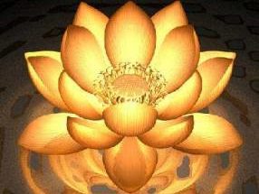 Golden Lotus featured