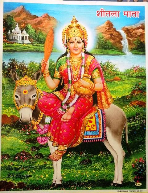 Shitala Devi rides on a donkey, and she has four arms. In her hands she carries a silver broom, a fan, a small bowl, and a pot of water. She uses these items to rid a house of disease–she sweeps up the germs with her broom, uses the fan to collect them, and dumps them into the bowl. She then sprinkles water from the pot (which is water from the river Ganges) to purify the house. Shitala’s name means “the cooling one”. 